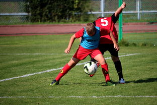 九游网页版-中国足球俱乐部运营效率调查，中国足球俱乐部运营效率调查问卷